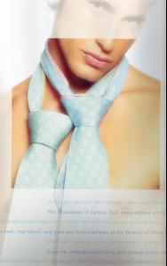 post-89005-0-69698600-1415006793_thumb.j