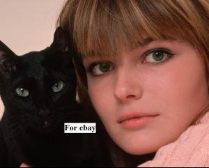 post-18318-0-40349800-1447601147_thumb.j