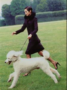 post-31427-0-43652700-1448140728_thumb.j