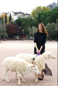 post-93672-0-83733300-1446416229_thumb.j