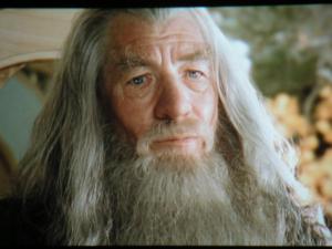ianLOTRgandalf_dvi.JPG