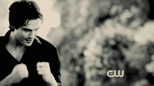 Damon-Salvatore-damon-salvatore-17273329-500-282.gif