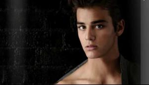 post-20251-0-64827900-1356646829_thumb.j