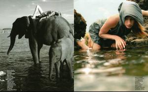 post-31427-0-13986700-1354373252_thumb.j