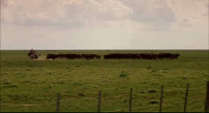 post-40981-0-58080500-1356055481_thumb.p