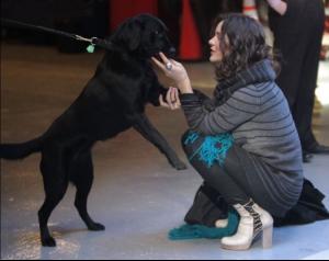 post-46782-0-93507700-1355604647_thumb.j