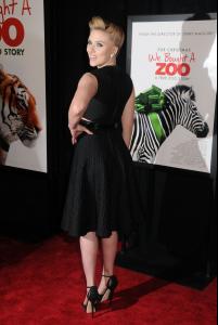 post-61811-0-29452000-1356618435_thumb.j