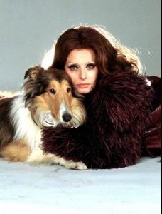 post-63450-0-02339500-1356458594_thumb.j