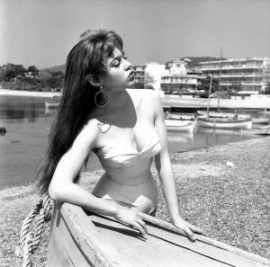 post-63450-0-58183700-1355851867_thumb.j