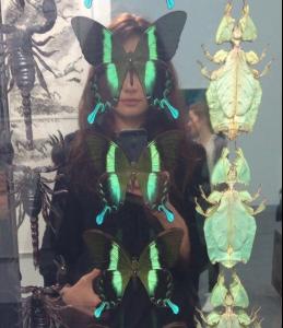 post-15092-0-75662900-1387637096_thumb.j