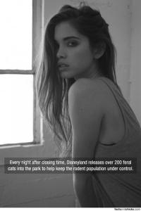 post-29506-0-98587300-1386043196_thumb.j