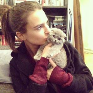 post-3127-0-03644500-1385971522_thumb.jp