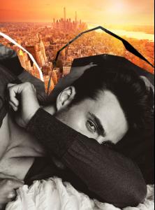 post-34874-0-37014300-1386513837_thumb.j