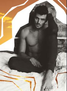 post-34874-0-57443100-1386513838_thumb.j