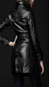 post-40981-0-30615700-1387838641_thumb.j