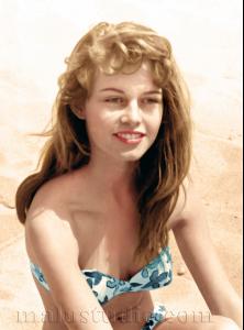 post-40923-0-62434200-1419681219_thumb.j