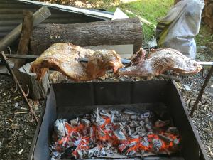 IMG_0566.thumb.JPG.73b0d219c79100c5fc9ac