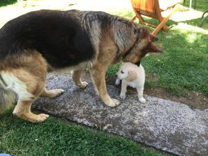 IMG_0568.thumb.JPG.9bf50e4bb2cf5cf3d768b