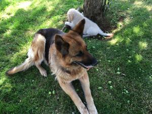 IMG_0572.thumb.JPG.c521f1b9a1cac0adbcbaf