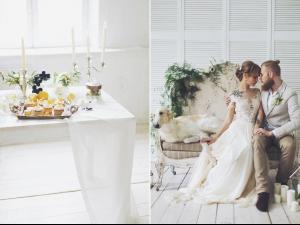 WVSZ0XmOq3o.thumb.jpg.cc5a92db123e06053c