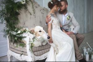 ti8NjGVliWg.thumb.jpg.608eeaded87b26619e