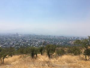 IMG_0619.thumb.jpg.2f812ffc812e317ef2af6