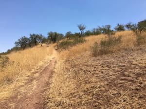 IMG_0621.thumb.jpg.87fb8ea094d07f79b5c23