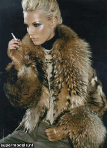 -43333.thumb.jpg.79b37b245c89d28bfa9ae55