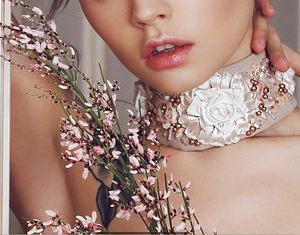 X4yhBWtQKkw.thumb.jpg.2596e39242fd2325c0