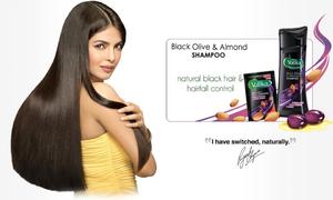 5619851_orig.thumb.jpg.e13cc49ef2b2f5347