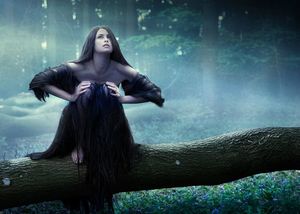 norbert schoerner 2009 (2).jpg