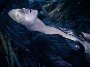 norbert schoerner 2009 (4).jpg