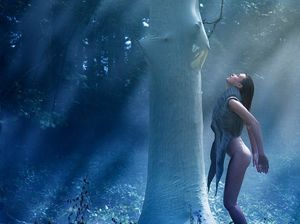 norbert schoerner 2009 (7).jpg