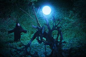 norbert schoerner 2009 (8).jpg