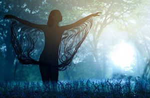 norbert schoerner 2009 (9).jpg