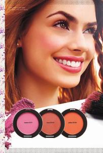 page_10.thumb.jpg.b2946754ce0d32f14ae9e3