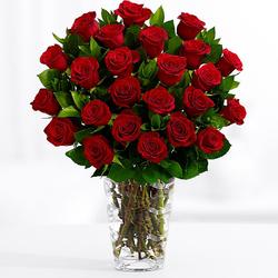 the fashiongirl's avatar