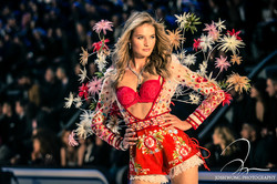 A Face in the Crowd's avatar