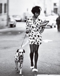 Maelle Venin's avatar