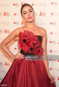 actress-olivia-culpo-attends-the-american-heart-associations-go-red-picture-id509641930.jpg