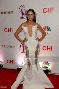 olivia-culpo-attends-the-63rd-annual-miss-universe-pageant-red-carpet-picture-id462196508.jpg