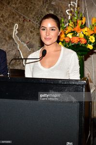 olivia-culpo-lights-the-empire-state-building-at-the-empire-state-on-picture-id527700550.jpg