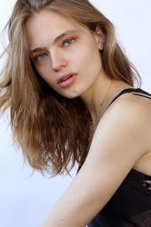 the new classic's avatar