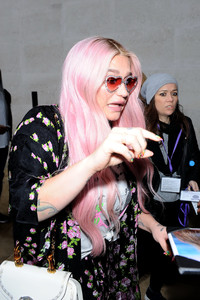  kesha151117BZNimage23.jpg