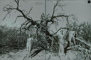 vogue it april 1998 esther canadas (7).png