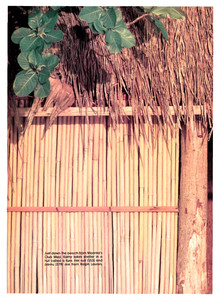 Sport's Illustrated US, February 10, 1986 11.jpg