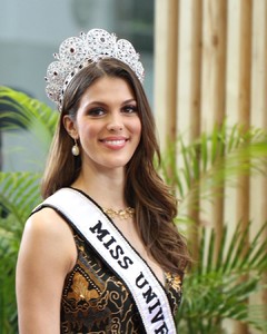 fan_iris_mittenaere - BSnOCl_BINs.jpg