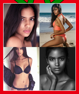 C - Rania Benchegra.png