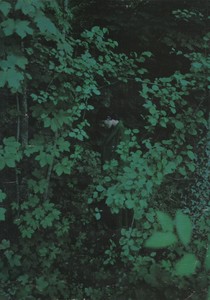 11marie claire 10_1996.jpg