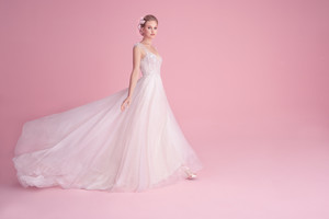 blush-hayley-paige-bridal-fall-2018-style-1861-amour_5.thumb.jpg.93a5620c22720b7aee569b03621439a8.jpg